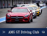 AMG GT Driving Club
